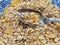 Tasty cereals or muesli for breakfast