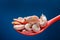 Tasty cooked shrimps in a kitchen skimmer on dark blue background
