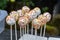 Tasty cookie lolly with colorful sugar sprinkles as delicious snack and party catering on birthday party or as yummy decoration fo