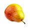 Tasty corella pear lying on its side