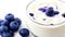 Tasty creamy Yogurt with blueberry, on white. Perfect for healthy breakfast or snack option