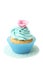 Tasty cupcake isolated on a white