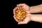 Tasty dried apple slices in male hands on black background