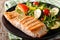 Tasty fillet of grilled salmon and vegetable salad with arugula