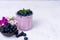 Tasty fresh blueberry yoghurt shake dessert in glass standing on white table background