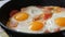 Tasty fresh fried eggs in a vintage cast-iron frying pan, with seasonings, tomatoes, sweet paprika and sausages, with