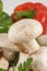 Tasty fresh white mushrooms with peppers