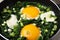 Tasty green Shakshouka in frying pan, closeup