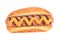 Tasty grilled hotdog with mustard.