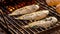 Tasty Grilled sole food detail