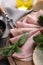 Tasty ham with basil, bread and carving fork on table, closeup