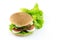 tasty hamburger picture isolated photo