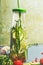 Tasty infused water in bottle with drink straw and ingredients, front view. Water Flavored with green fruits, cucumber and herbs.