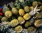 Tasty large batch of sweet and ripe pineapples for sale in public market