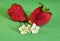 Tasty  Large strawberries with flowers lie on a green background.