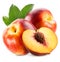 Tasty nectarines isolated on the white background