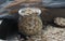 Tasty nutritious oatmeal, glass jar, wooden spoon and ears of corn on dark background, selective focus