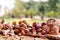 Tasty nuts on a wooden table in field front view