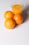 Tasty oranges fruit together on a white background