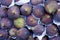 Tasty organic figs