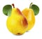 Tasty pears on the white background