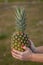 Tasty pineapple holding with a hands with red nails