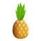 Tasty pineapple icon, cartoon style