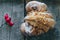 Tasty polish traditional Saint Martin`s croissant with white poppies, nuts and almonds called rogal swietomarcinski and wild rose