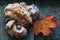 Tasty polish traditional Saint Martin`s croissants with nuts, almonds and whity poppies called rogal swietomarcinski and autumn co