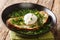 Tasty Portuguese Acorda soup with greens, garlic, bread and poached egg close-up in a plate. horizontal