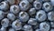 Tasty ripe blueberries as background closeup
