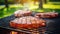 Tasty roasted beef: Barbecue grilled steak with spices in the backyard, nature\\\'s summer picnic