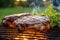 Tasty roasted beef steak with spices on the barbecue in nature