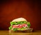 Tasty Sandwich Burger