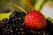 Tasty summer fruits on table. Cherry, Blue berries, strawberry, raspberries, Blackberries, pomegranate