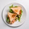 Tasty Toasted Salmon & Salad Sandwich On White Background