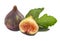 Tasty whole and cut figs with green leaf isolated