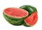 Tasty whole and cut watermelon on white background