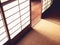 Tatami Floor with Door panel Japanese style room details