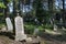 The Tatar Muslim Cemetery named Mizar in Kruszyniany,