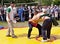 Tatar national wrestling on belts at Sabantuy