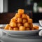 tater tots on a beautiful plate.generative ai