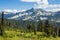 Tatoosh Range from Hiking Trail