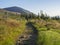 Tatra Mountains landscape with footpath and Trail blazing, golden hour light, way from Tatranska Lomnice with green trees and gras