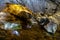 TATRANSKA KOTLINA, SLOVAKIA - 27 DEC 2017: Interior of Belianska cave, tourist attraction in region of High Tatras.