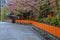 Tatsumi bashi bridge in Gion district with full bloom cherry blossom in Kyoto, Japan