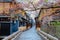 Tatsumi bashi bridge in Gion district with full bloom cherry blossom in Kyoto, Japan