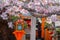 Tatsumi Daimyojin Shrine situated nearby Tatsumu bashi bridge in Gion district