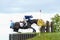 Tattersalls horse show in Ireland, black horse refuse to jump over obstacle with male rider, jockey