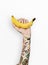 Tattoo Banana Fruit Ripe Tropical Vitamin Organic Concept